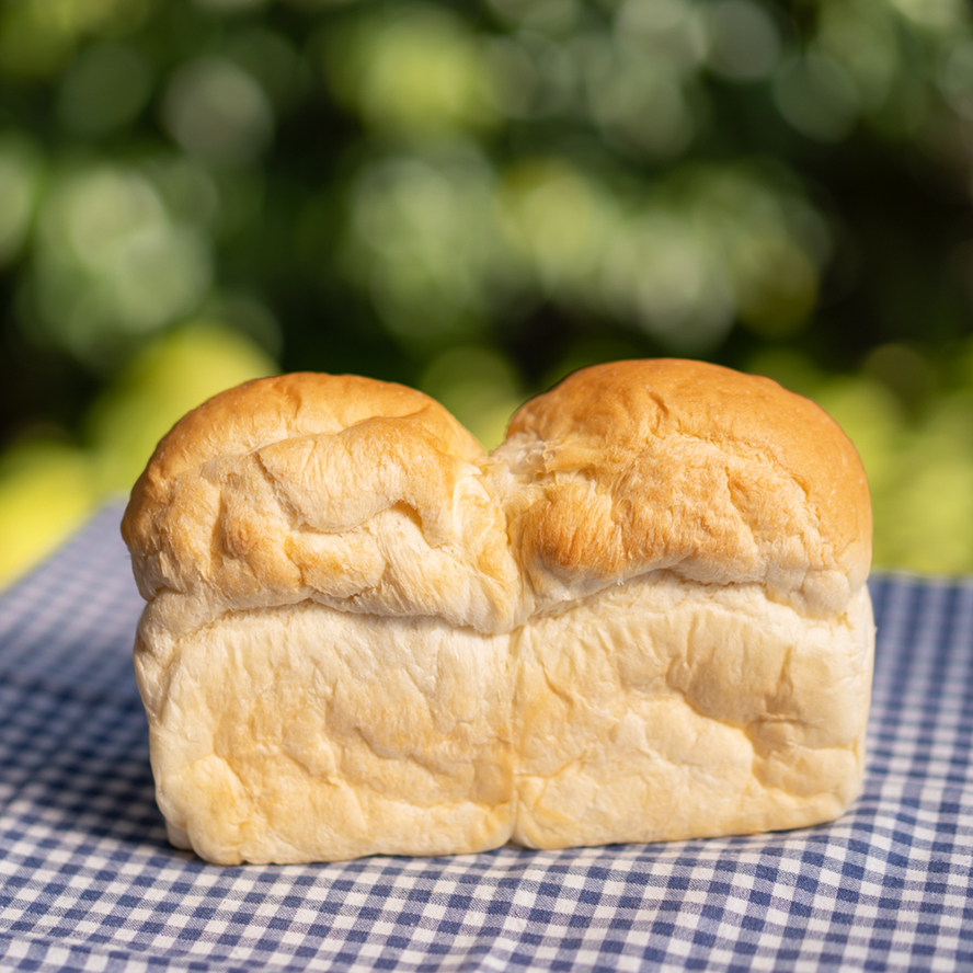 普通食パン（小型ケース）の商品画像